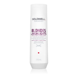 Goldwell Dualsenses Blondes & Highlights Shampoo (250ml)